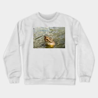 The Joker Alligator Crewneck Sweatshirt